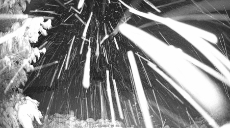 Image from 2024-11-28