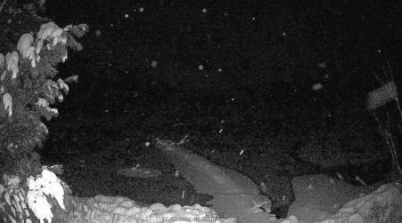 Image from 2024-11-29