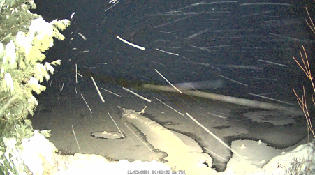 Image from 2024-11-29