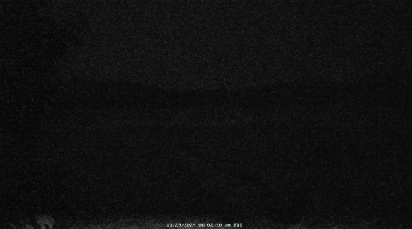 Image from 2024-11-29