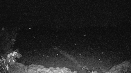 Image from 2024-11-29