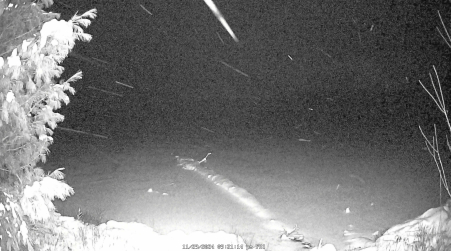 Image from 2024-11-29