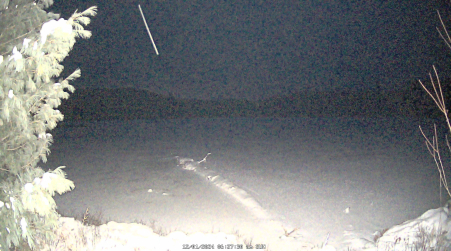 Image from 2024-12-01