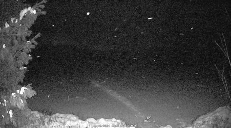 Image from 2024-12-02