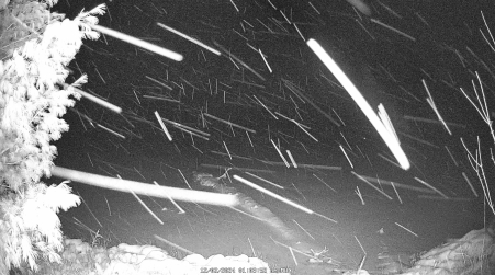 Image from 2024-12-02