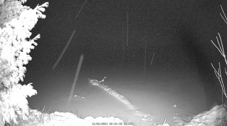 Image from 2024-12-02