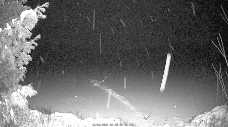 Image from 2024-12-02