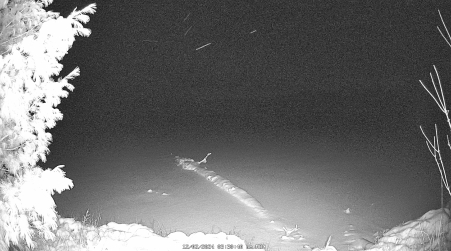 Image from 2024-12-02