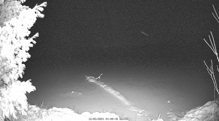 Image from 2024-12-02