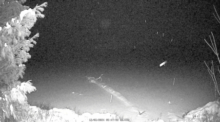 Image from 2024-12-02