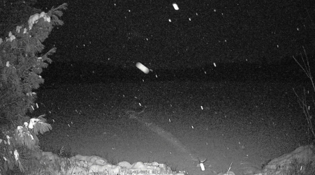 Image from 2024-12-02