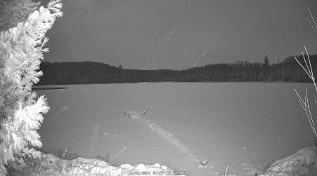 Image from 2024-12-02