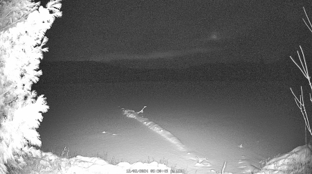 Image from 2024-12-02