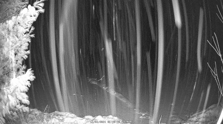 Image from 2024-12-02