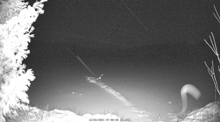 Image from 2024-12-02