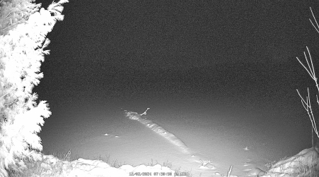 Image from 2024-12-02