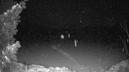 Image from 2024-12-02