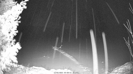 Image from 2024-12-02