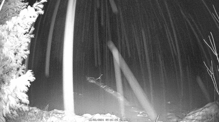 Image from 2024-12-02