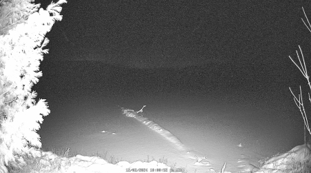 Image from 2024-12-02