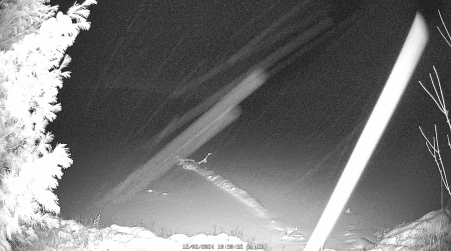 Image from 2024-12-02