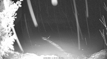Image from 2024-12-02