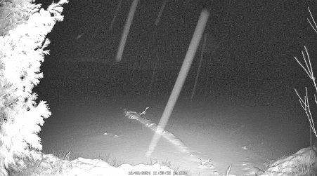 Image from 2024-12-02