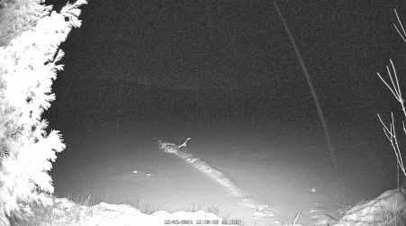Image from 2024-12-03
