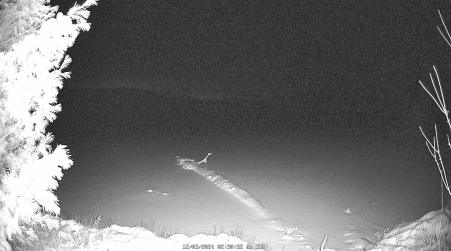 Image from 2024-12-03