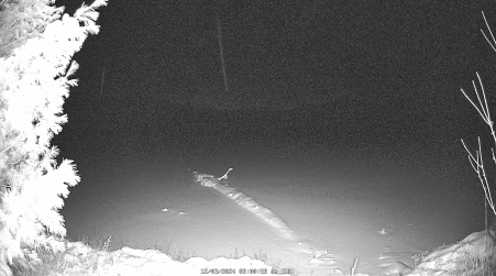 Image from 2024-12-03