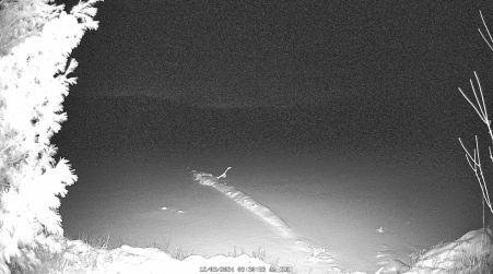 Image from 2024-12-03