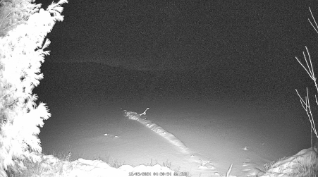 Image from 2024-12-03