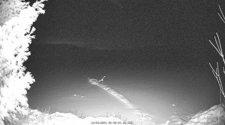 Image from 2024-12-03