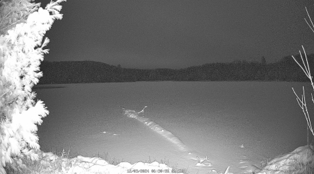 Image from 2024-12-03