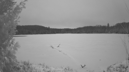 Image from 2024-12-03
