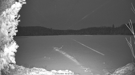 Image from 2024-12-03