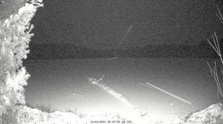 Image from 2024-12-03