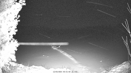 Image from 2024-12-03