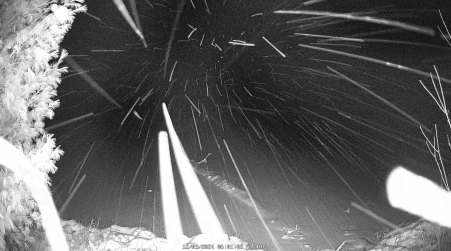 Image from 2024-12-03