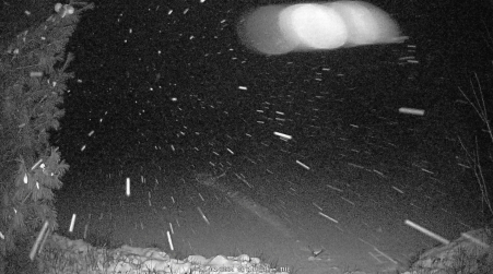 Image from 2024-12-03