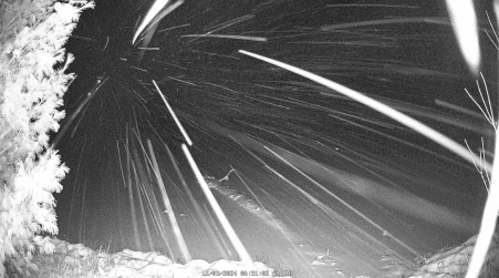 Image from 2024-12-03