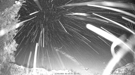 Image from 2024-12-03