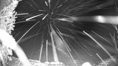 Image from 2024-12-03
