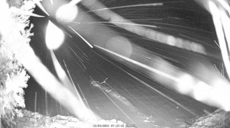 Image from 2024-12-03