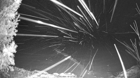Image from 2024-12-03