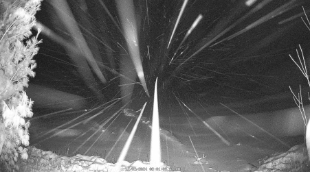 Image from 2024-12-03