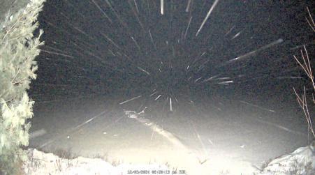 Image from 2024-12-03