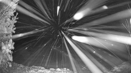 Image from 2024-12-03