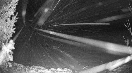 Image from 2024-12-03