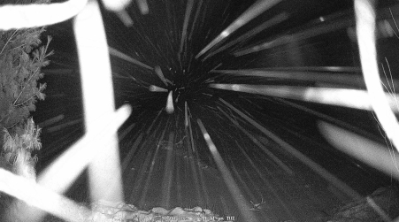 Image from 2024-12-03